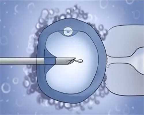 杭州供卵机构选择指南：民营医院排名最新揭晓，榜首实至名归