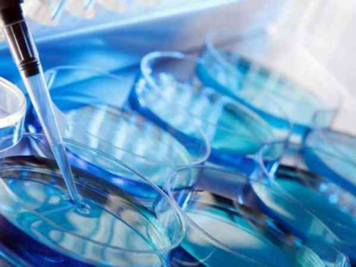 广西省不孕不育医院选择指南与专业助孕机构推荐