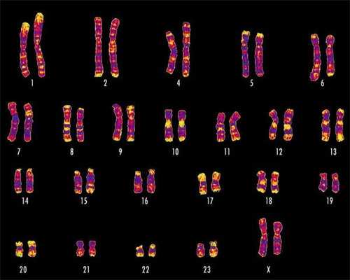 浙江供卵试管中介选择指南与优质推荐