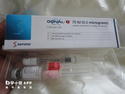 如何选择高成功率助孕机构与供卵试管医院