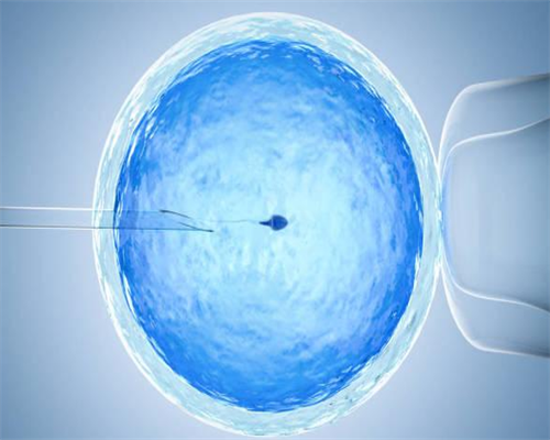 杭州供卵代怀机构推荐与优质试管医院排行榜揭晓
