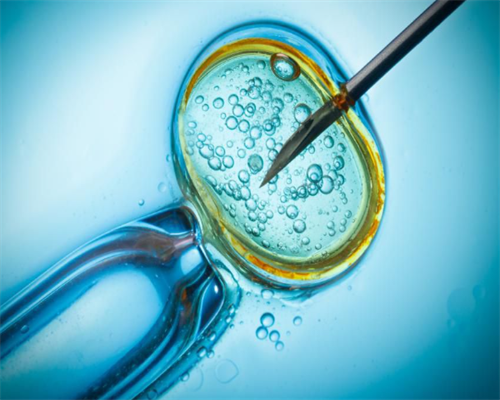 金华市试管婴儿服务优势与选择指南