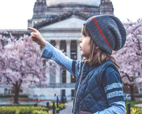试管婴儿技术选择指南与专业机构推荐