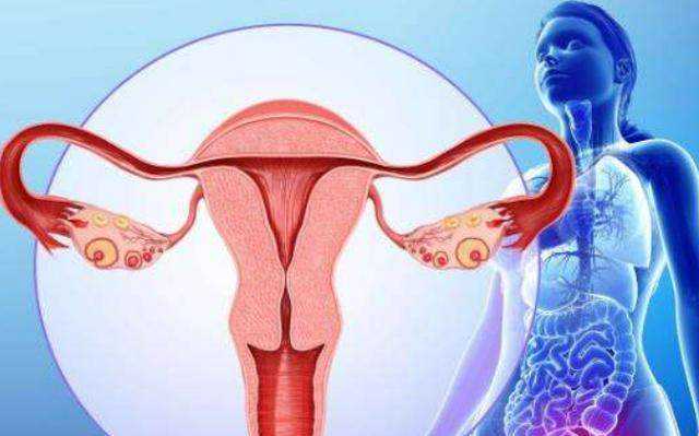 杭州试管婴儿检查费用报销指南及代生助孕选择