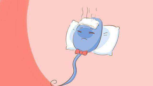 山西代生代怀男孩选择指南与专业服务解析