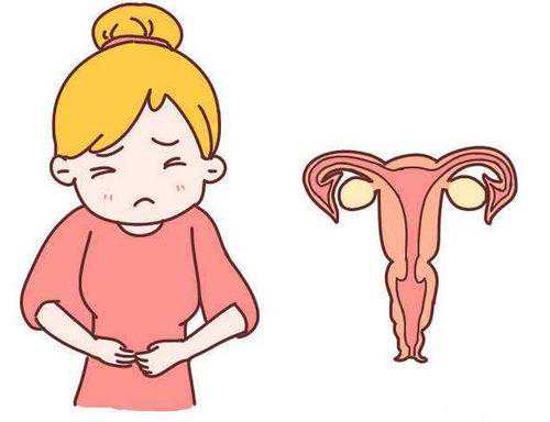 浙江嘉兴三代试管婴儿费用解析与专业代怀服务指南