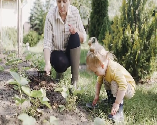 2026海南供卵代怀试管包成功费用明细及关键影响因素解析